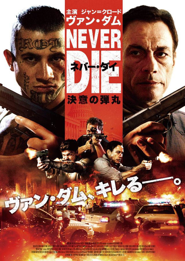 映画『ネバー・ダイ　決意の弾丸』の画像（2枚目）