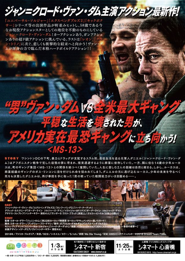 映画『ネバー・ダイ　決意の弾丸』の画像（3枚目）