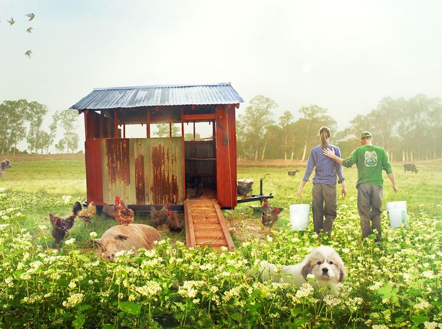 ビッグ・リトル・ファーム　理想の暮らしのつくり方