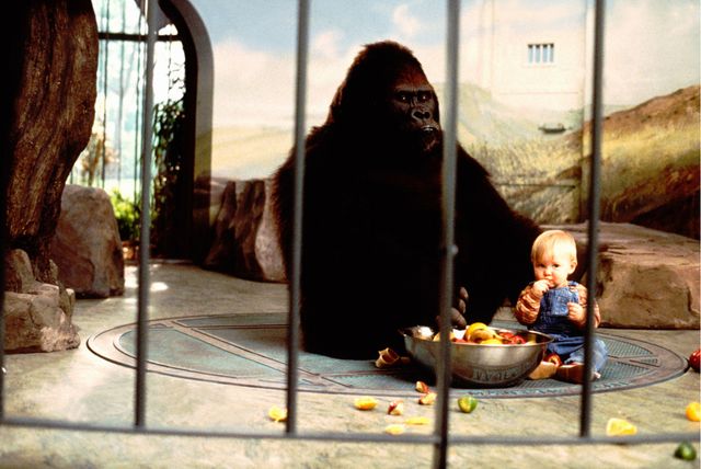 映画『赤ちゃんのおでかけ』の画像（3枚目）