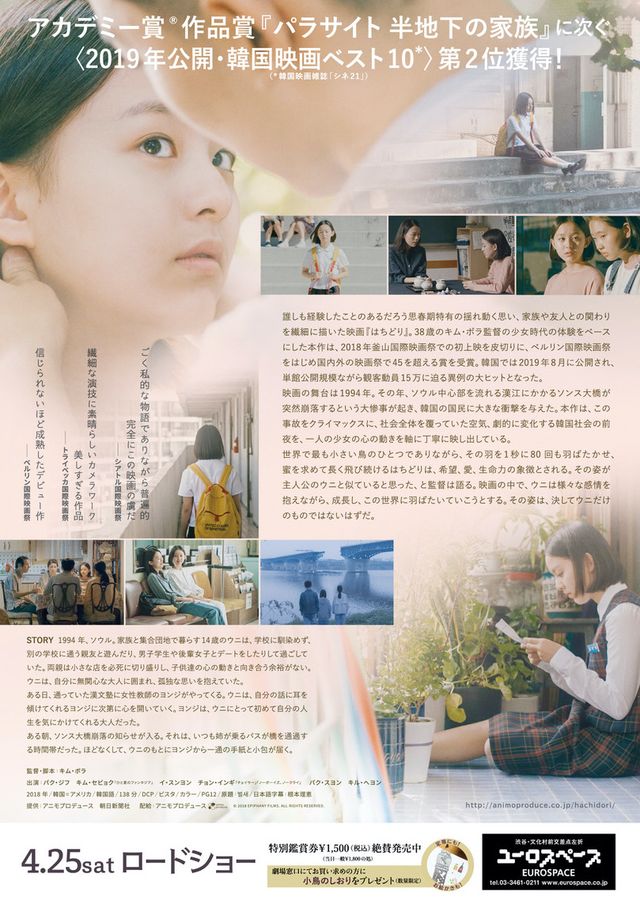 映画『はちどり』の画像（3枚目）