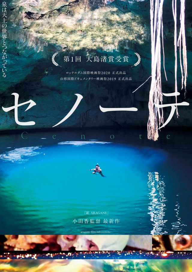 映画『セノーテ』の画像（2枚目）