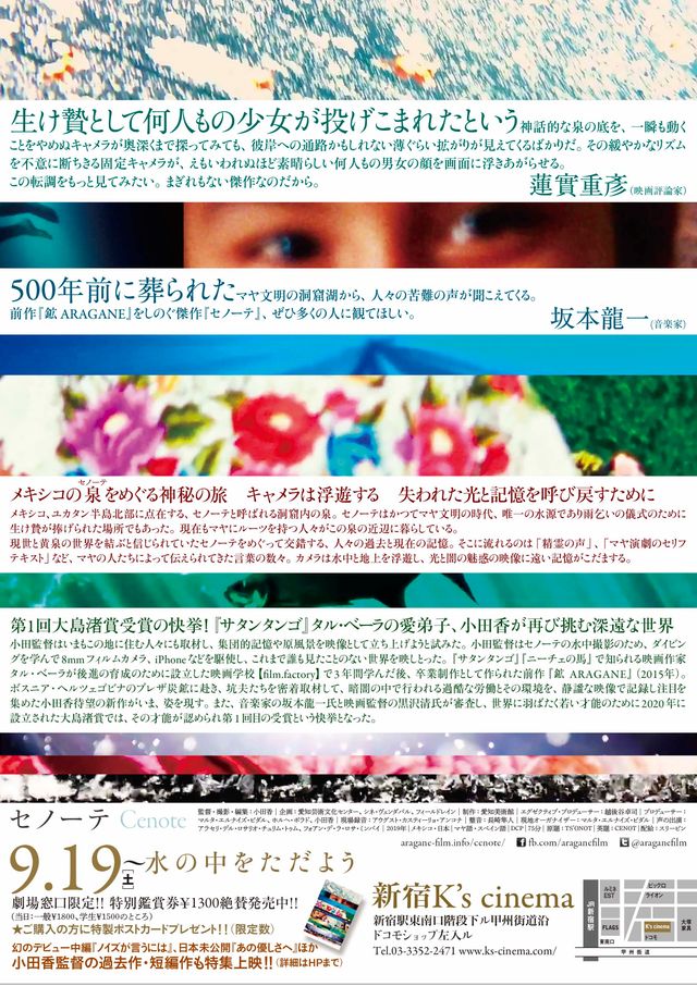 映画『セノーテ』の画像（3枚目）