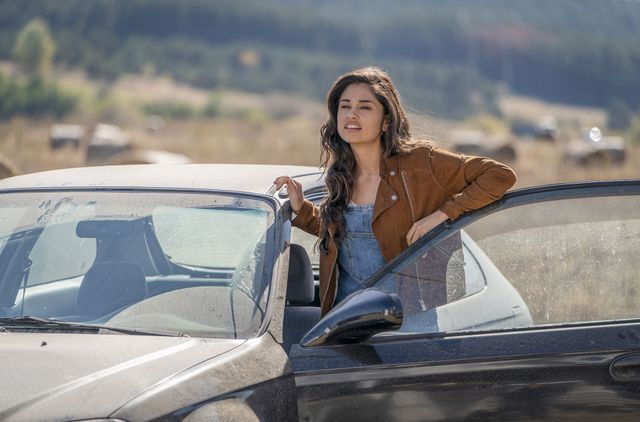 映画『ランボー　ラスト・ブラッド』の画像（5枚目）