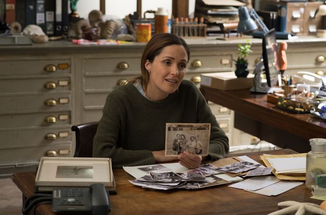 映画『15年後のラブソング』の画像（4枚目）