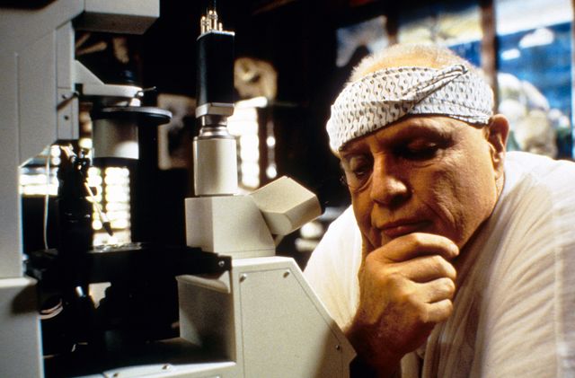 映画『D.N.A.』の画像（5枚目）