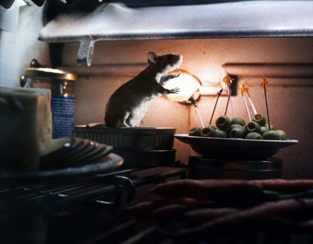 映画『マウス・ハント』の画像（2枚目）