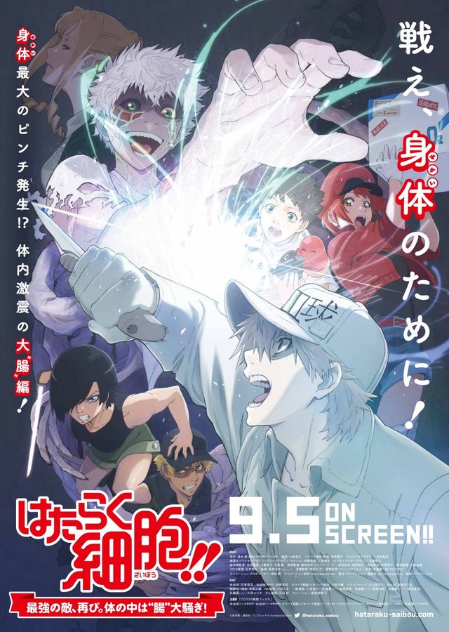 映画『「はたらく細胞!!」最強の敵、再び。体の中は“腸”大騒ぎ！』の画像（2枚目）