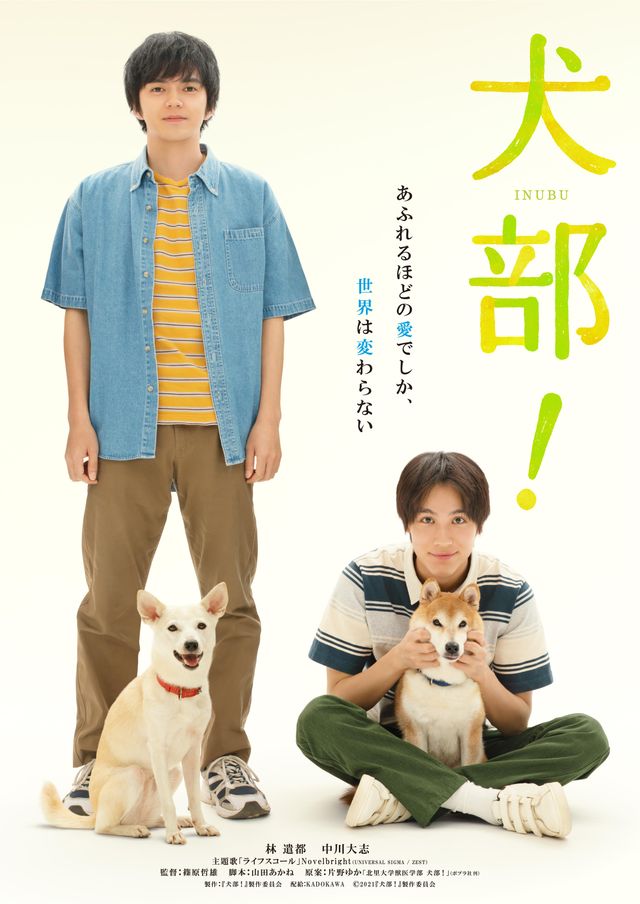 映画『犬部！』の画像（2枚目）