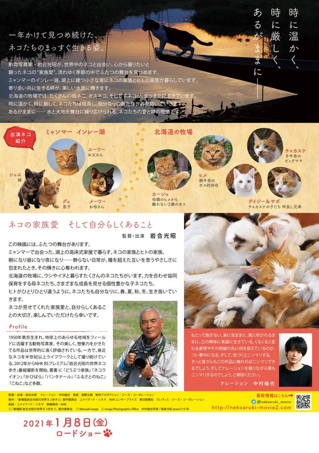 映画『劇場版　岩合光昭の世界ネコ歩き　あるがままに、水と大地のネコ家族』の画像（3枚目）