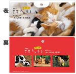 オリジナル抗菌マスクケース