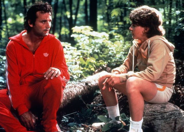 映画『ミートボール』の画像（4枚目）