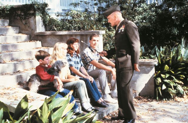 映画『パパ』の画像（5枚目）