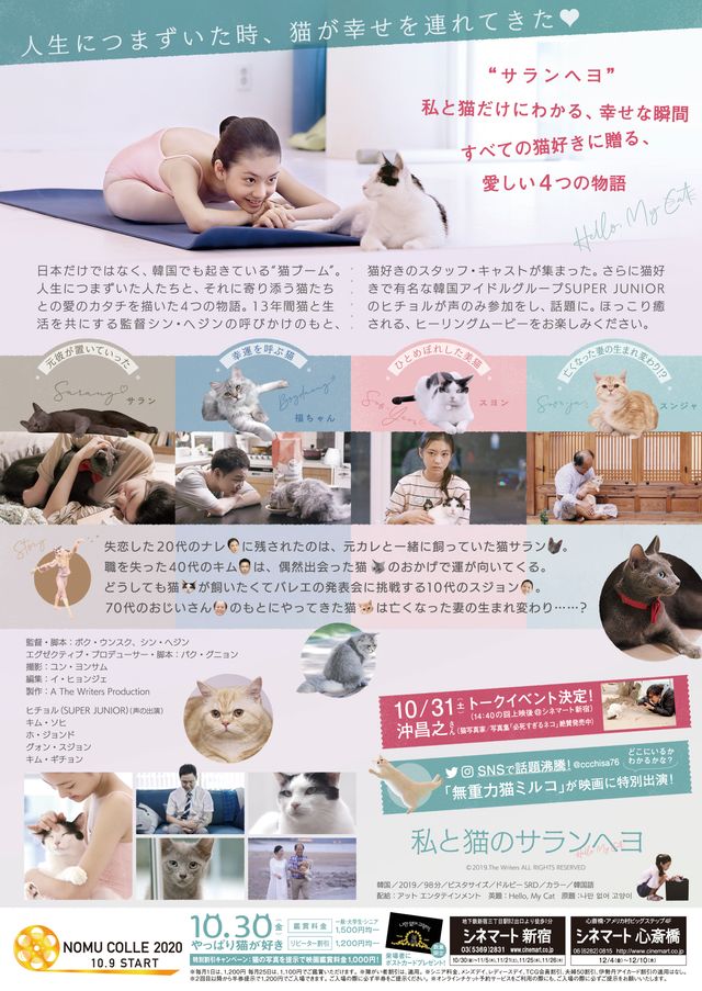 映画『私と猫のサランヘヨ』の画像（2枚目）