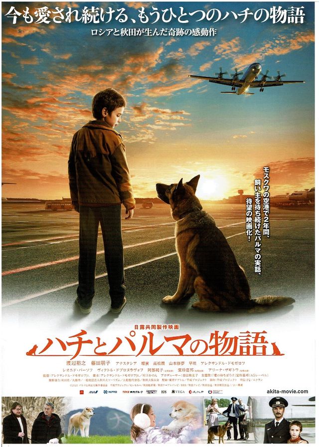 映画『ハチとパルマの物語』の画像（2枚目）