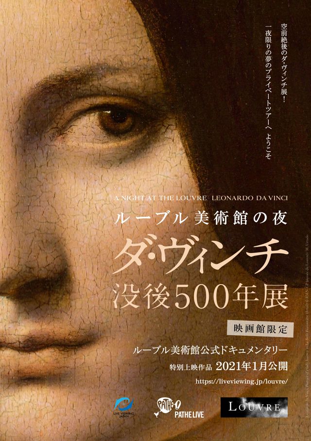 映画『ルーブル美術館の夜　－ダ・ヴィンチ没後500年展』の画像（2枚目）