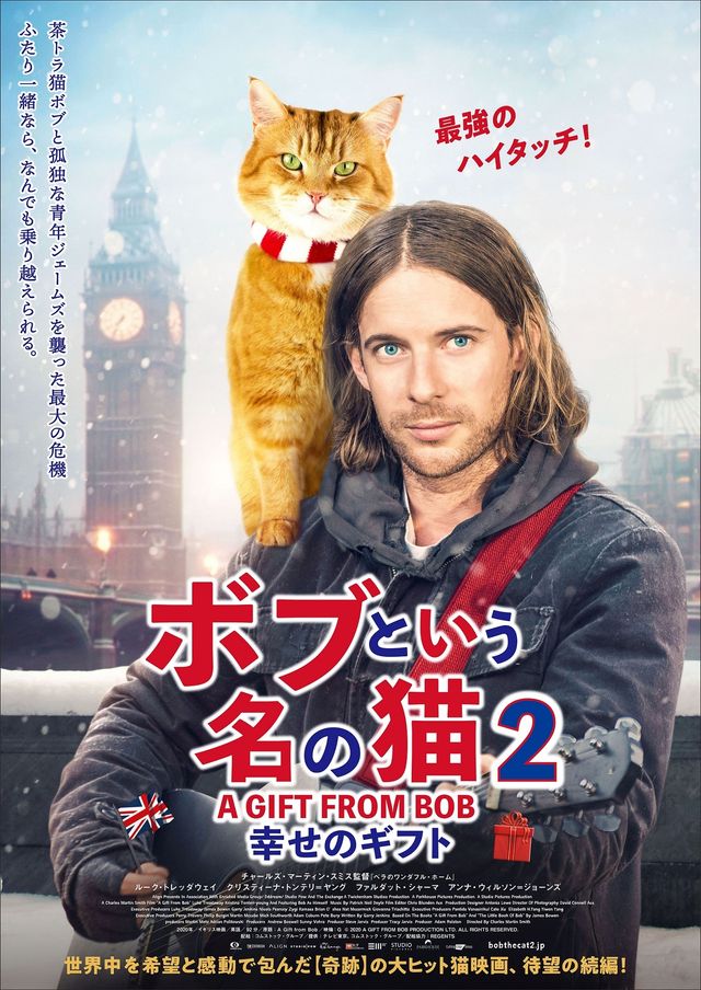 映画『ボブという名の猫2 幸せのギフト』の画像（2枚目）