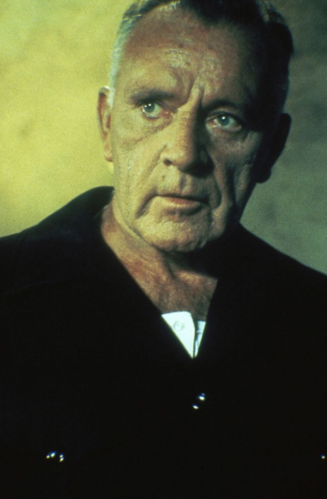 映画『1984』の画像（5枚目）