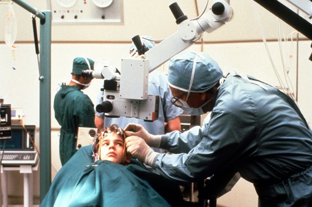 映画『ダリル／秘められた巨大な謎を追って』の画像（5枚目）