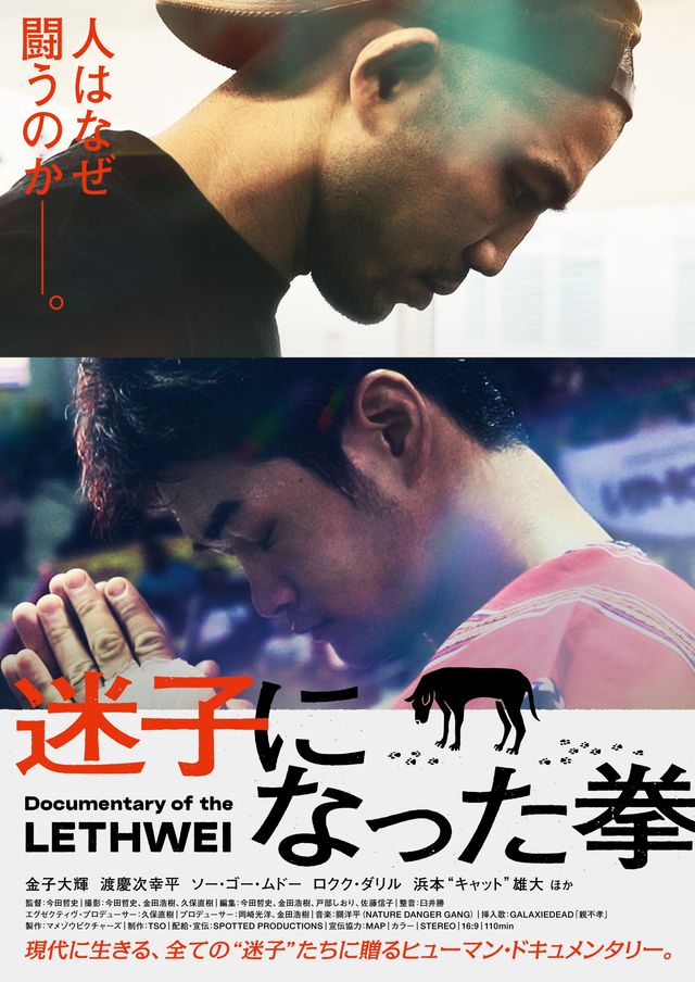 映画『迷子になった拳』の画像（2枚目）