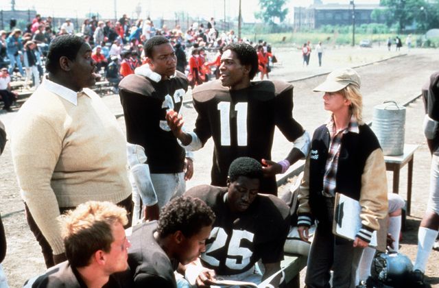 映画『ワイルドキャッツ』の画像（2枚目）