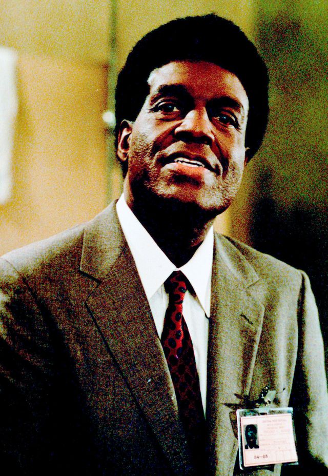 映画『ワイルドキャッツ』の画像（5枚目）