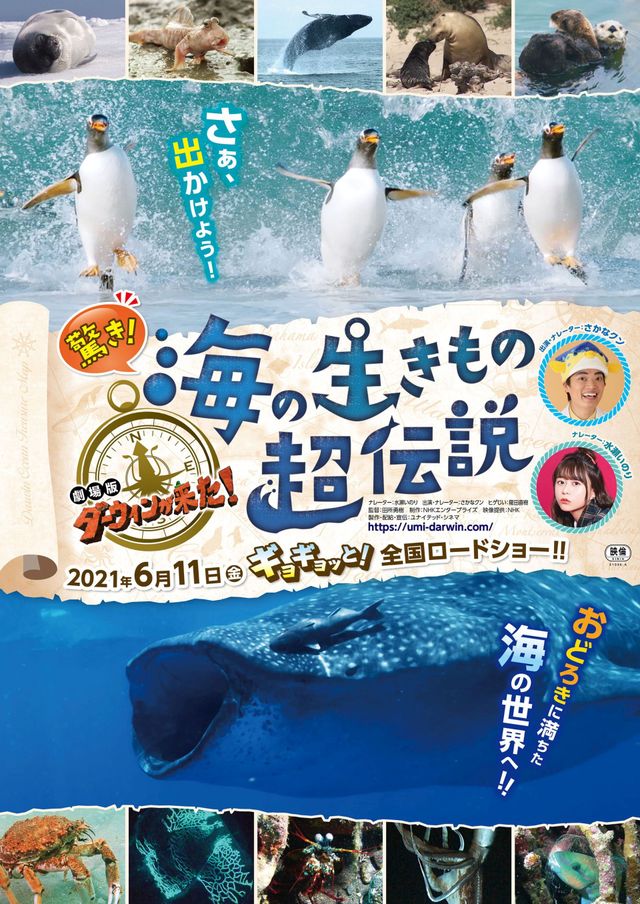 驚き！海の生きもの超伝説　劇場版ダーウィンが来た！