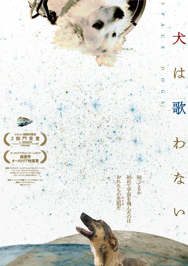 映画『犬は歌わない』の画像（2枚目）