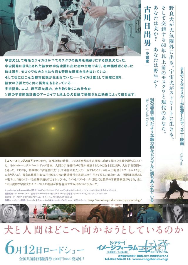 映画『犬は歌わない』の画像（3枚目）