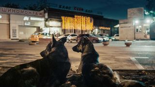 犬は歌わない
