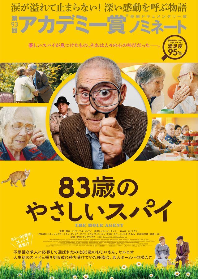 映画『83歳のやさしいスパイ』の画像（2枚目）