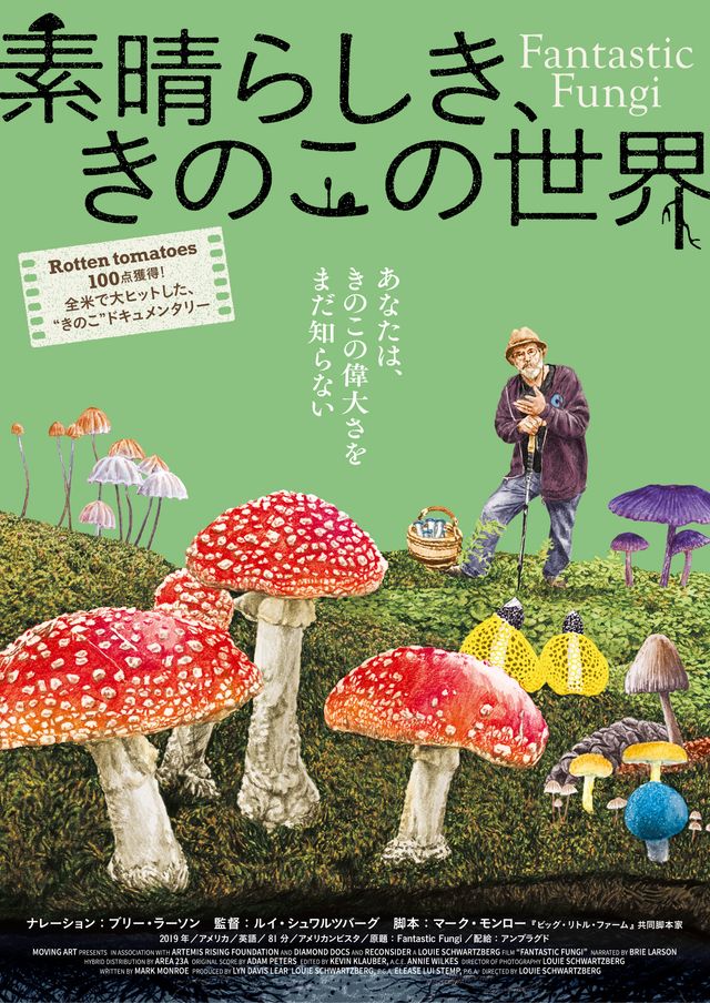 映画『素晴らしき、きのこの世界』の画像（2枚目）