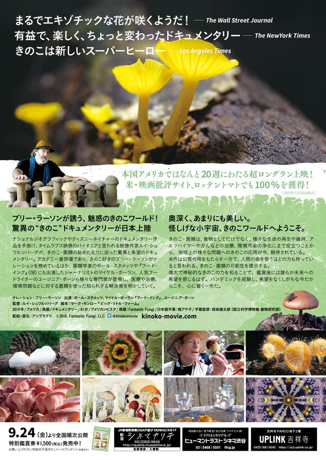 映画『素晴らしき、きのこの世界』の画像（3枚目）
