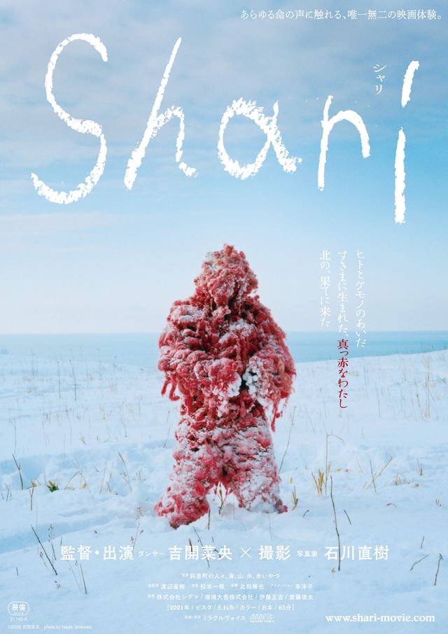 映画『Shari』の画像（2枚目）