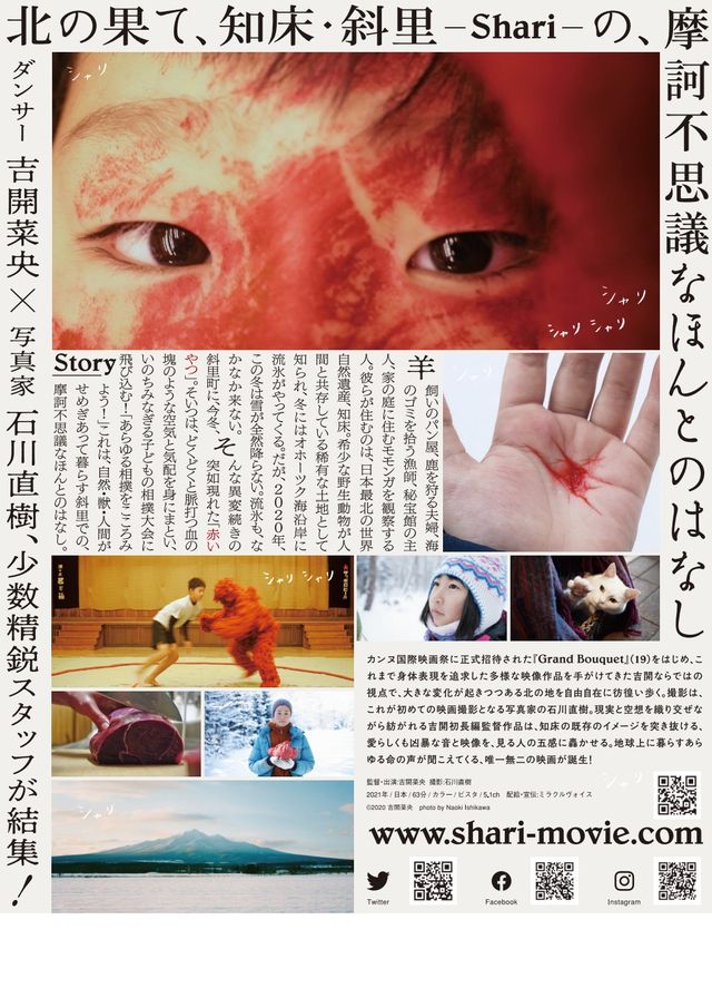 映画『Shari』の画像（3枚目）