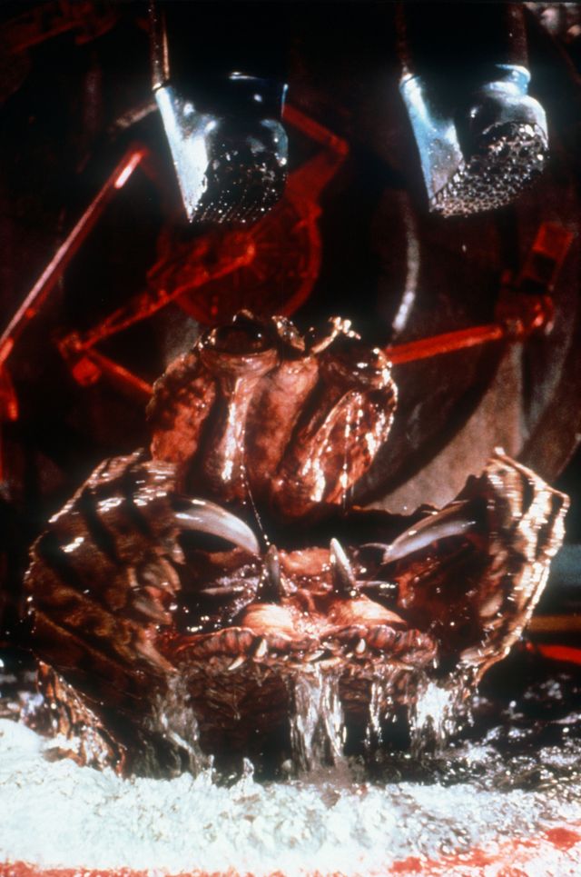 映画『ザ・デプス』の画像（5枚目）