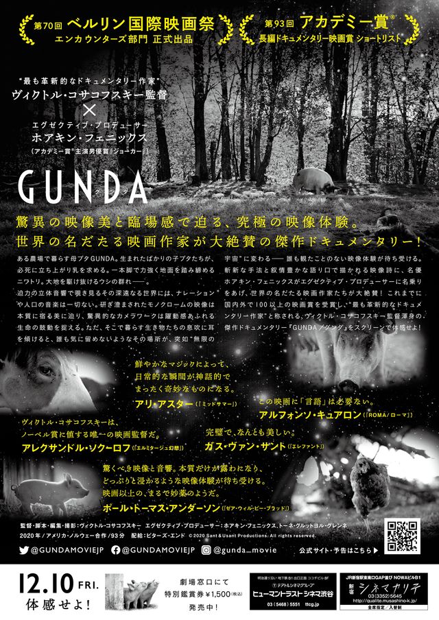 映画『GUNDA／グンダ』の画像（3枚目）