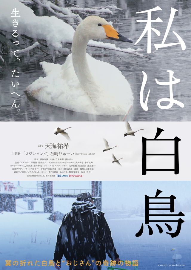 映画『私は白鳥』の画像（2枚目）