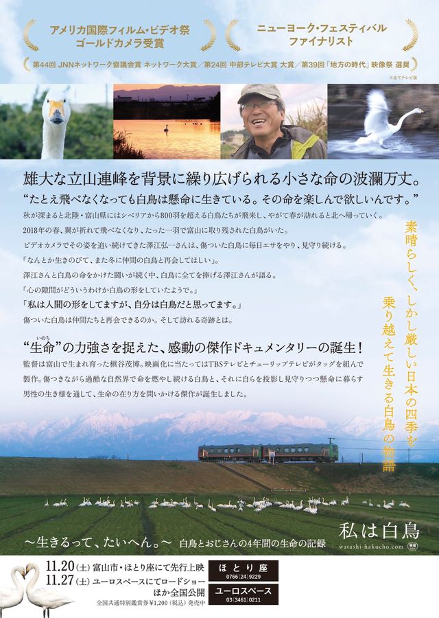 映画『私は白鳥』の画像（3枚目）