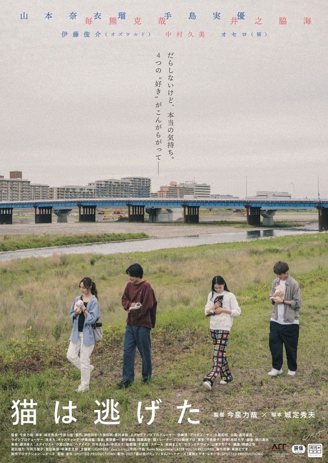 映画『猫は逃げた』の画像（2枚目）