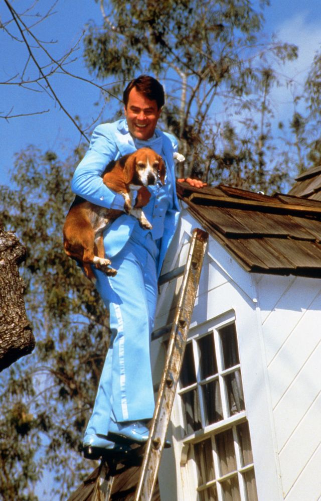 映画『花嫁はエイリアン』の画像（5枚目）