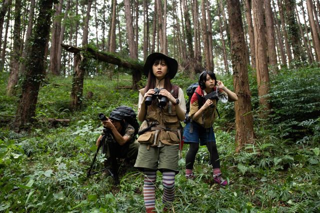 絶滅動物(VACATION)