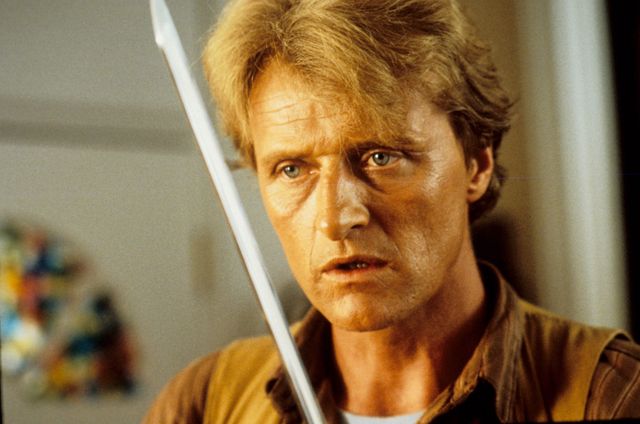 ブラインド・フューリー:作品情報|シネマトゥデイ