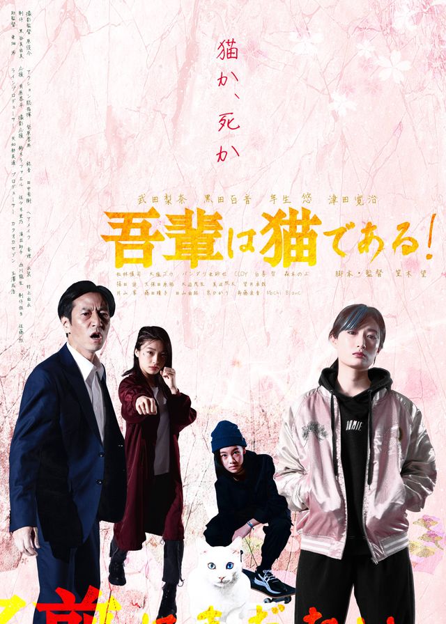 映画『吾輩は猫である！』の画像（2枚目）