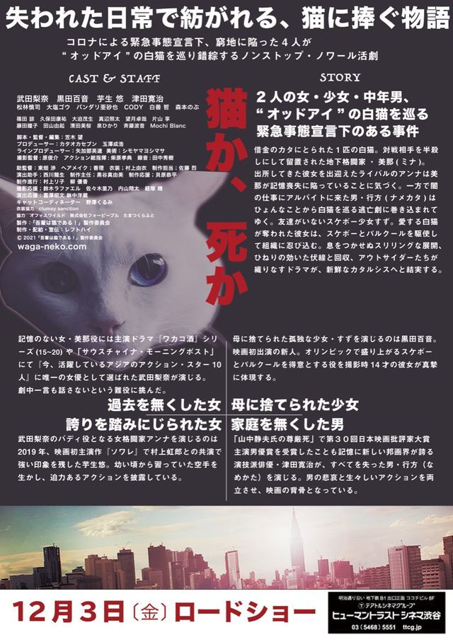 映画『吾輩は猫である！』の画像（3枚目）