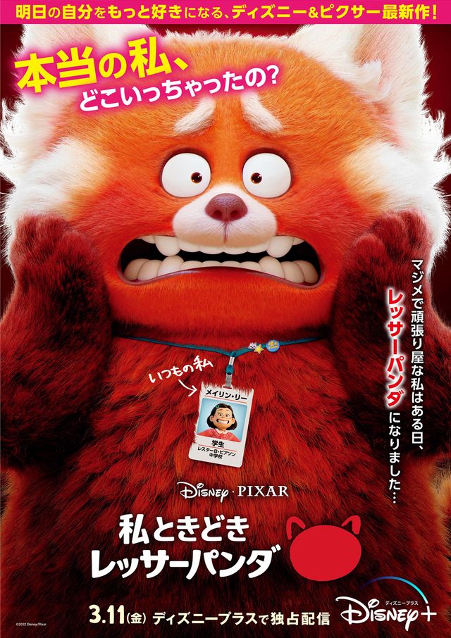 映画『私ときどきレッサーパンダ』の画像（2枚目）
