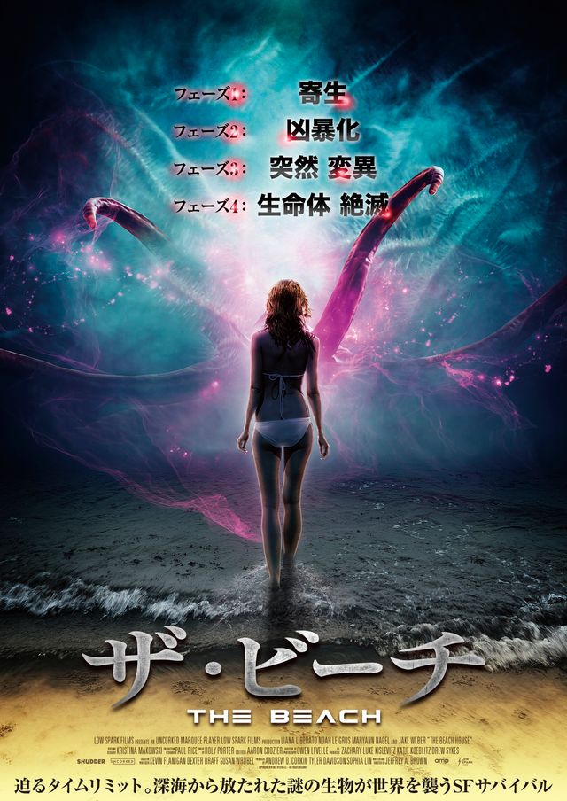 映画『ザ・ビーチ』の画像（2枚目）