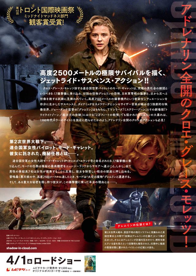 映画『シャドウ・イン・クラウド』の画像（4枚目）