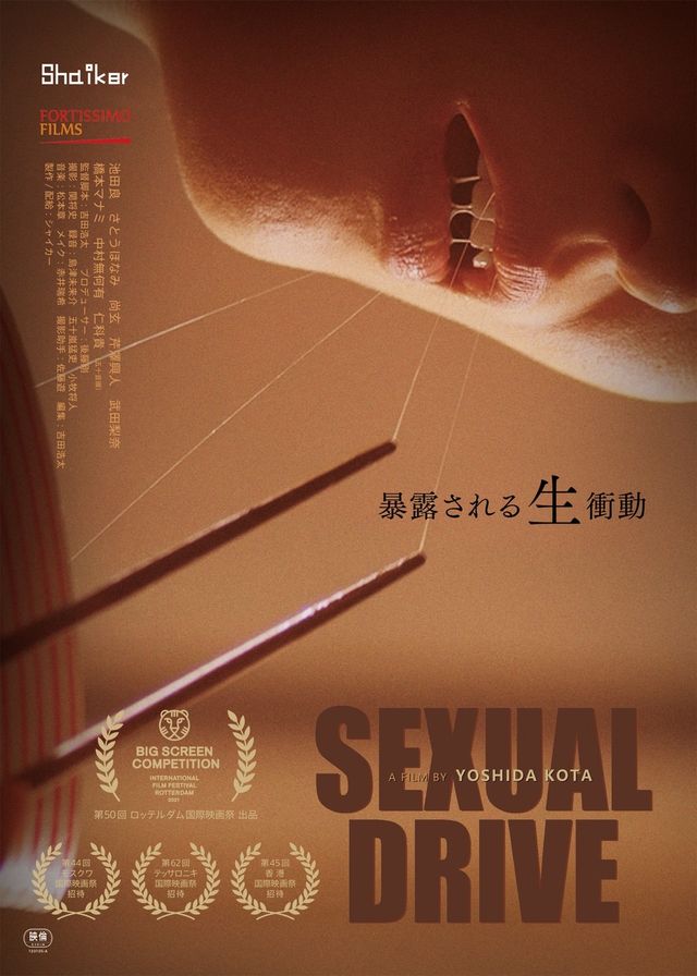 映画『Sexual Drive』の画像（2枚目）