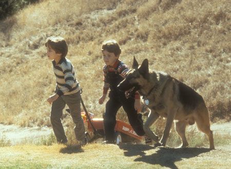 映画『ラジオ・フライヤー』の画像（5枚目）